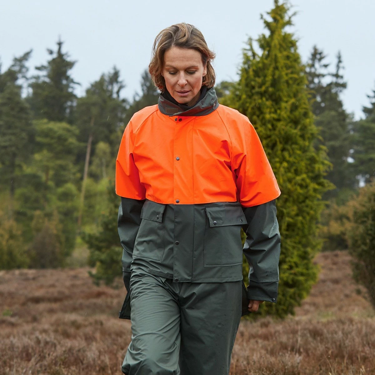 Flexorain Sadetakki - Image 5