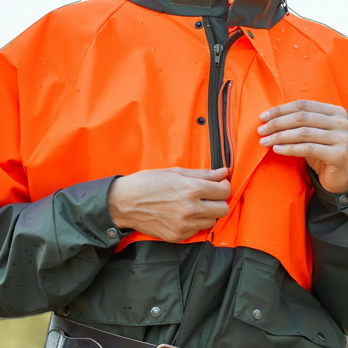 Flexorain Sadetakki - Image 2